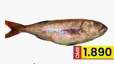 el3rod.com00001-1279