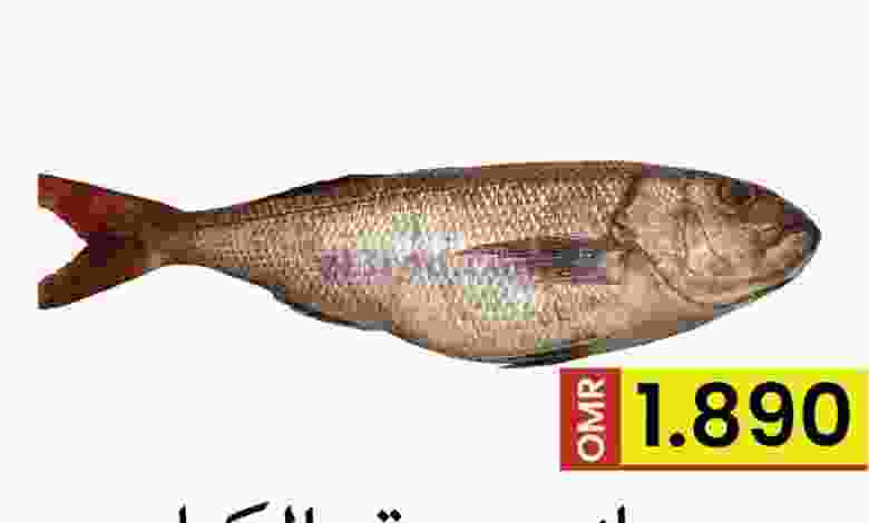 el3rod.com00001-1279