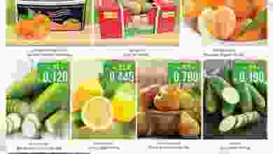 el3rod.com00001-1294