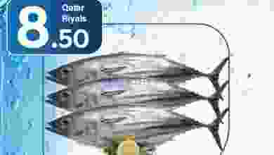el3rod.com00001-1341