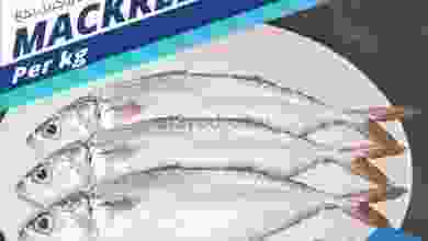 el3rod.com00001-1378
