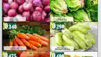 el3rod.com00001-140