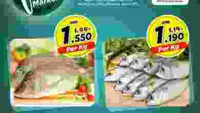 el3rod.com00001-168