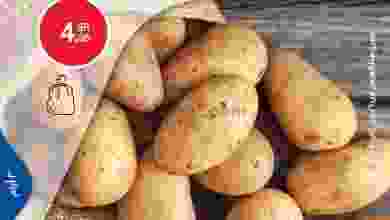 el3rod.com00001-264