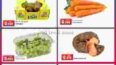 el3rod.com00001-289
