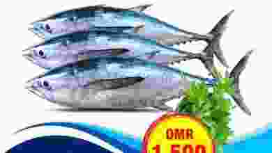 el3rod.com00001-350