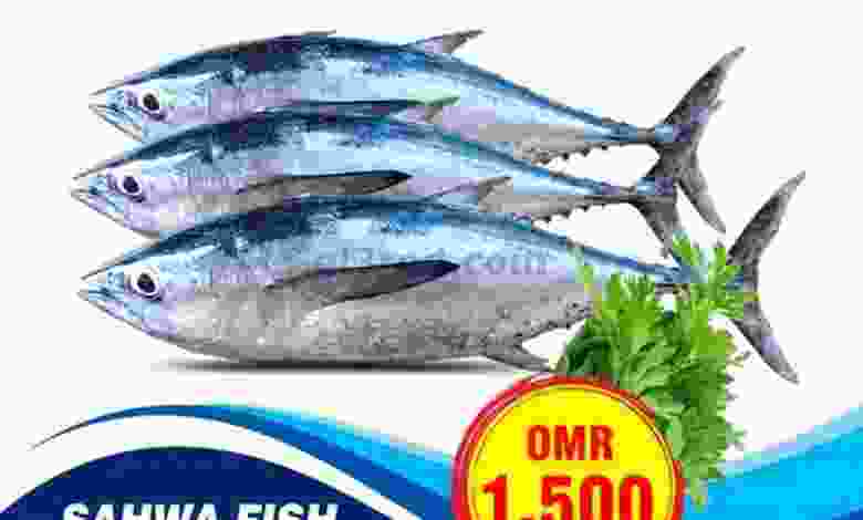 el3rod.com00001-350