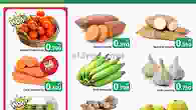 el3rod.com00001-640