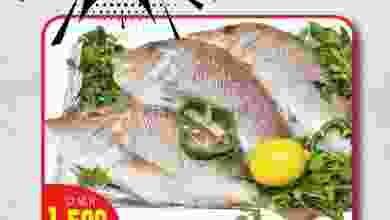 el3rod.com00001-694