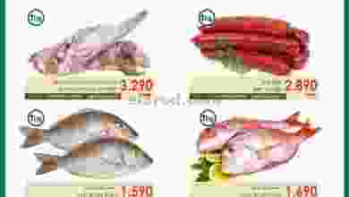 el3rod.com00001-766