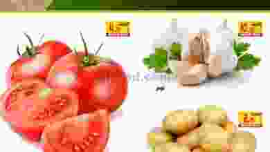 el3rod.com00001-817