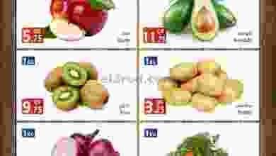 el3rod.com00001-838