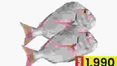 el3rod.com00001-865