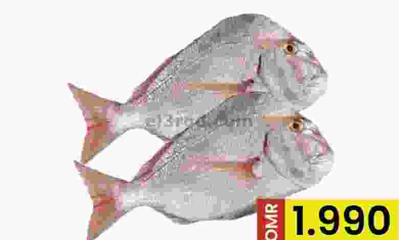 el3rod.com00001-865
