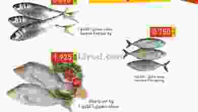 el3rod.com00001-867