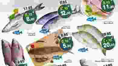 el3rod.com00001-873