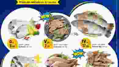 el3rod.com00001-89