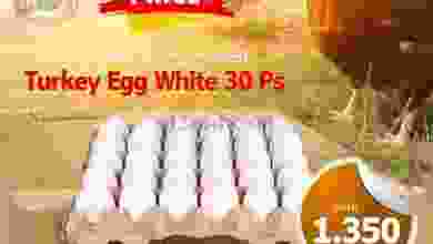 el3rod.com00002-1100