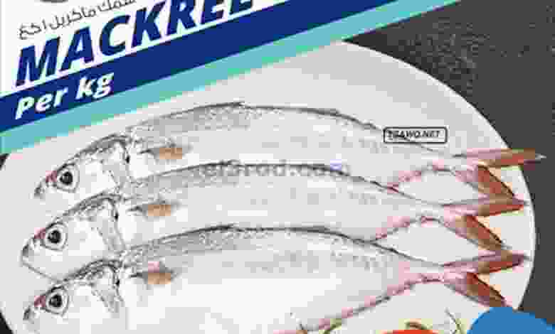el3rod.com00002-1132