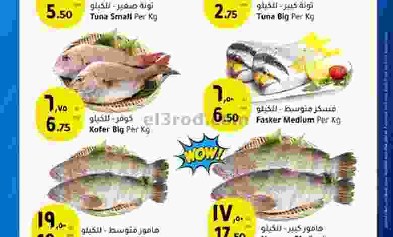 el3rod.com00002-12