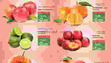 el3rod.com00002-194