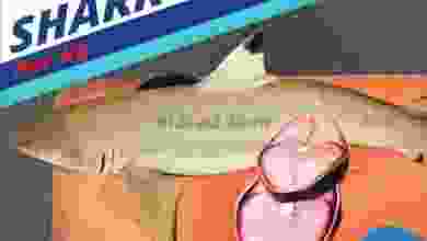 عروض مركز الصفا والصفا إكسبريس|حتى 16-2-2022 el3rod.com00002-536