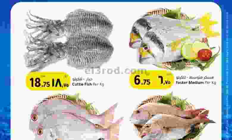 el3rod.com00002-734