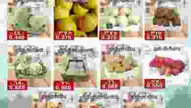 el3rod.com00002-793