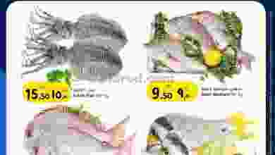 el3rod.com00002-893