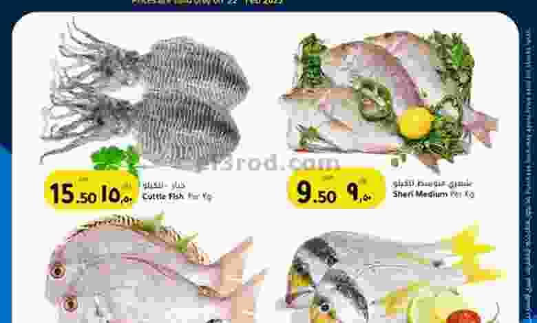 el3rod.com00002-893