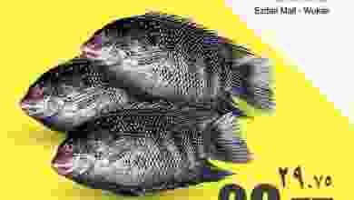 el3rod.com00003-463