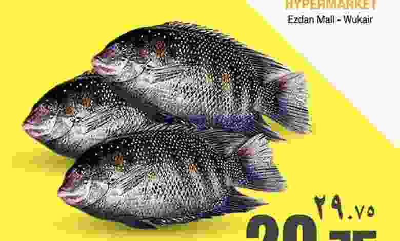 el3rod.com00003-463