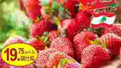 el3rod.com00003-652