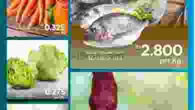 el3rod.com00003-875