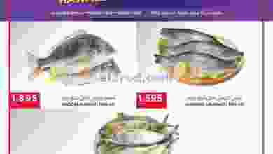 el3rod.com00004-377