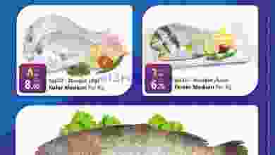 el3rod.com00004-410