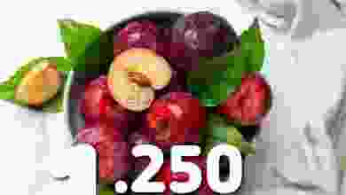 el3rod.com00005-176