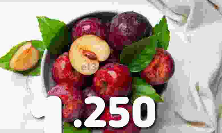 el3rod.com00005-176