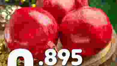 el3rod.com00005-6