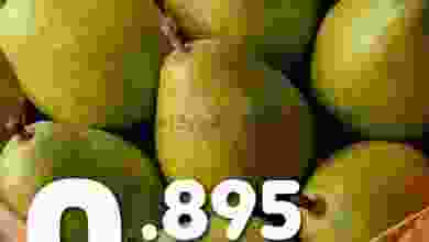el3rod.com00034-14