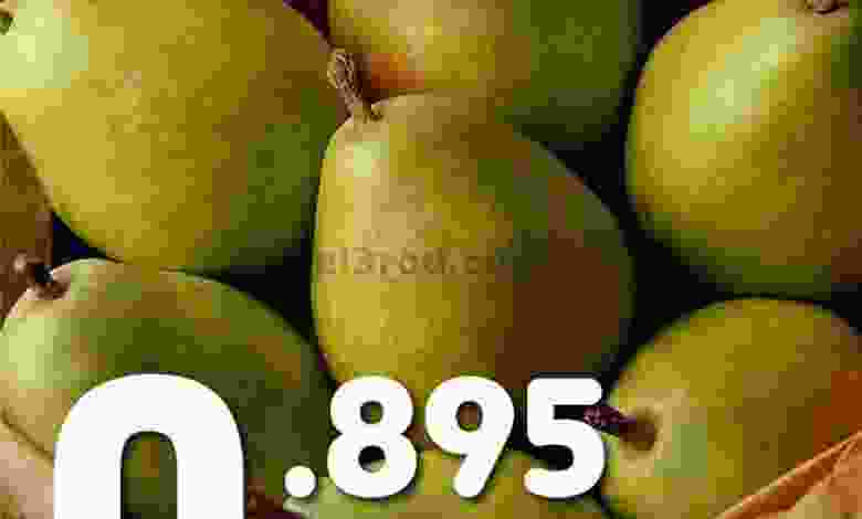 el3rod.com00034-14