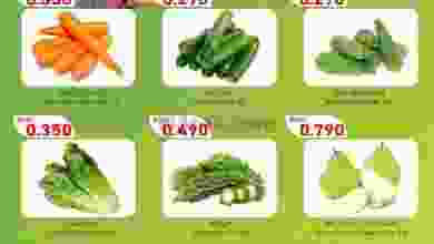 el3rod.com00001-103