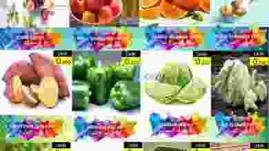 el3rod.com00001-104