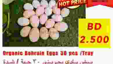 el3rod.com00001-109