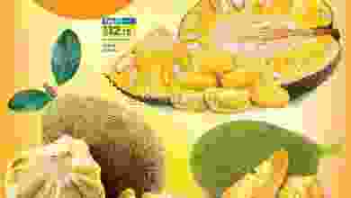 el3rod.com00001-1127