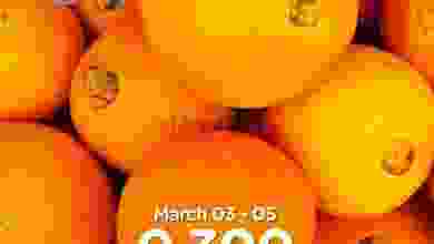 el3rod.com00001-119