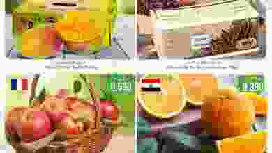 el3rod.com00001-1203