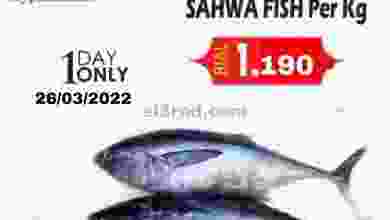 el3rod.com00001-1219