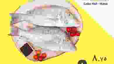 el3rod.com00001-1234