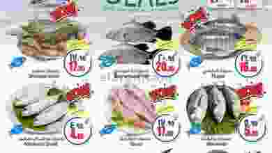 el3rod.com00001-1246